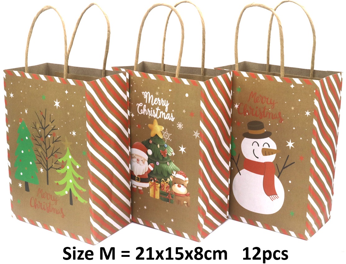 R-O7.2 PK1009-002M Paper Gift Bag Christmas 21x15x8cm -Mixed Designs - 12pcs