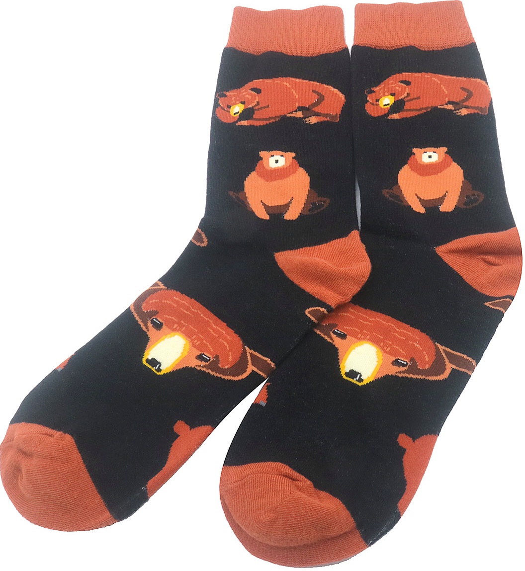 S-G6.2  SOCK2424-039 Pair of Socks Size 38-45 Bear