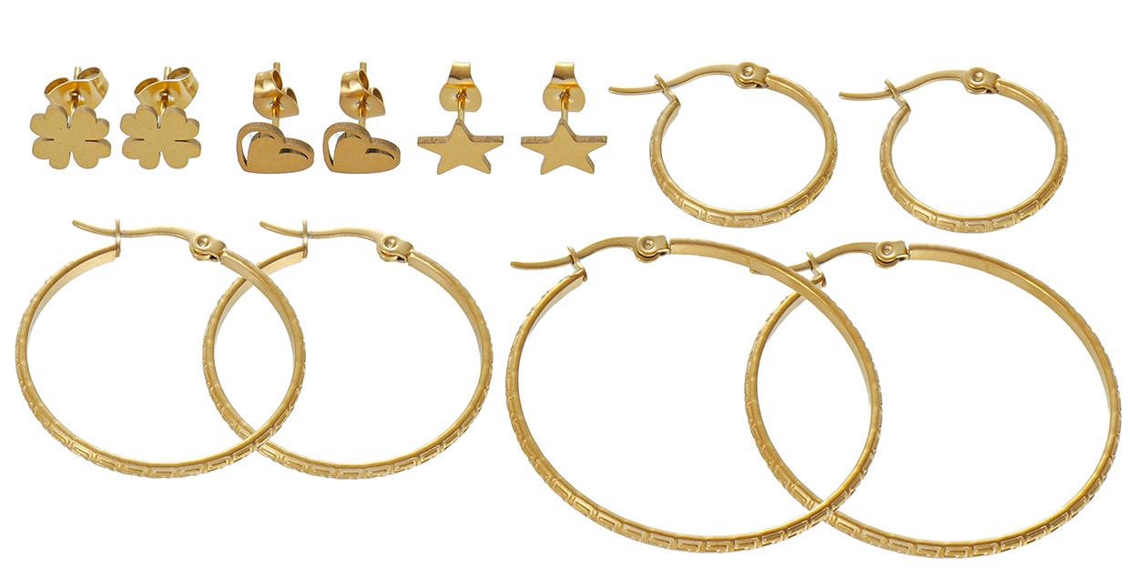 C-E10.1 E1131-135G S. Steel Earring Set 6 Pairs
