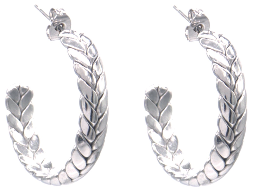 B-D19.5  E2593-224S S. Steel Earrings 30mm