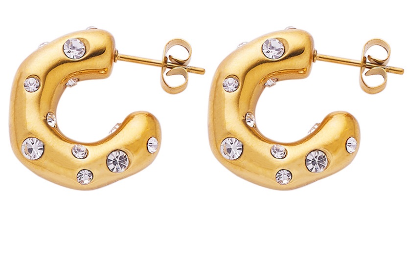 D-D19.1  E103-181G-2 S Steel Earrings 2cm