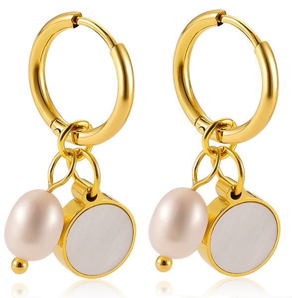 F-A19.4 E090-003G S. Steel Earrings 2.8cm