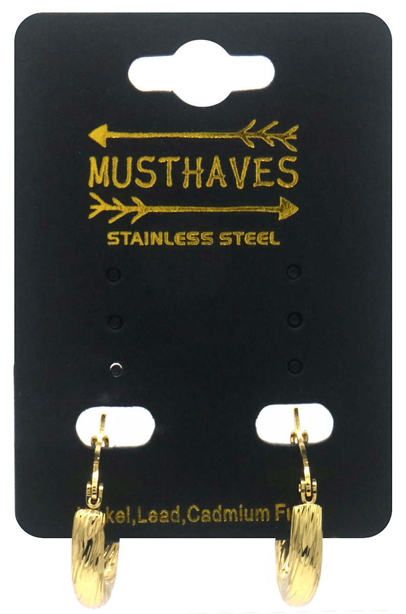 D-A4.3 E2593-243G S. Steel Earrings 20mm