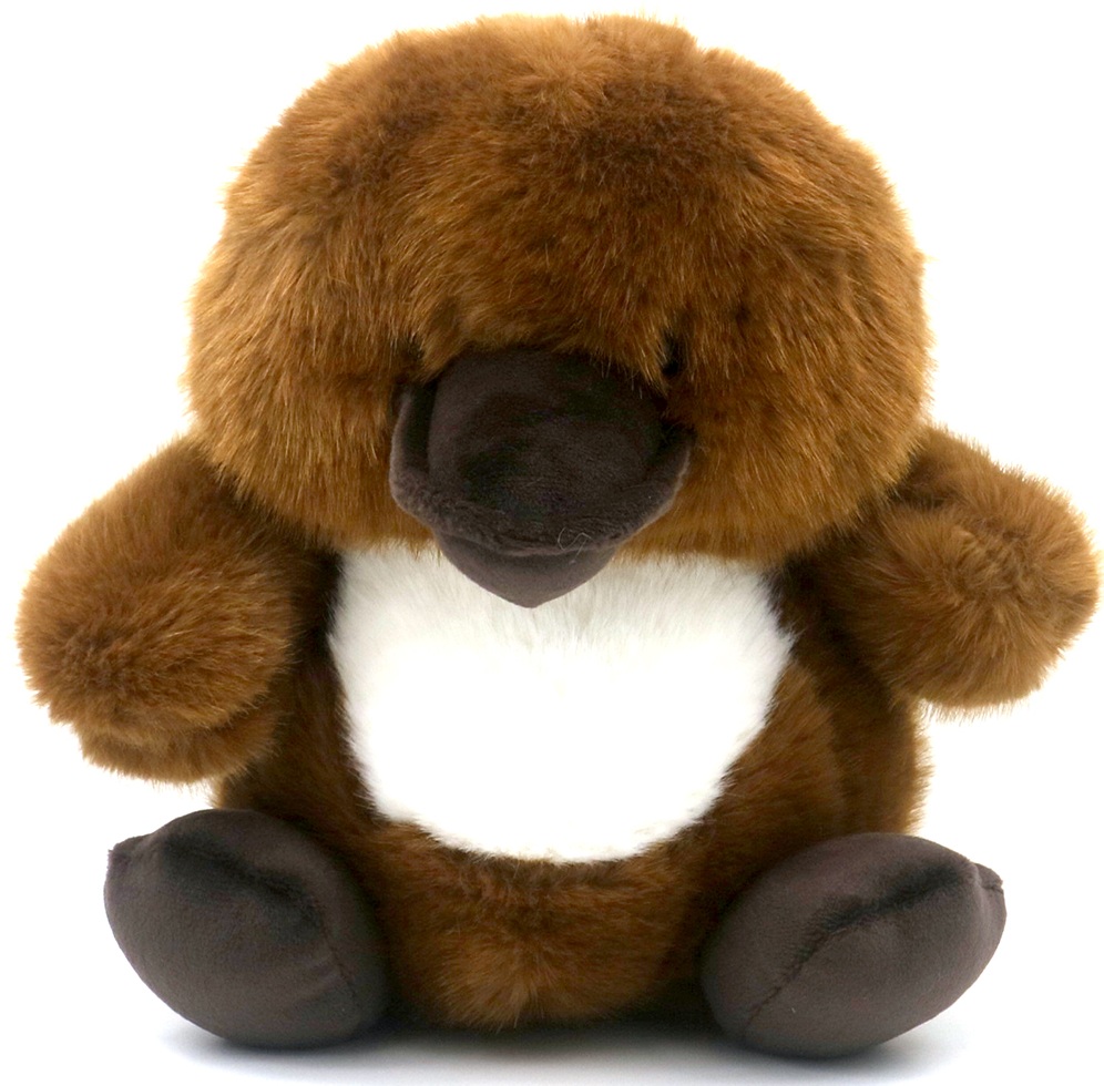 Z-D1.1 TOY1161-001 Soft Plush Platybus 21cm