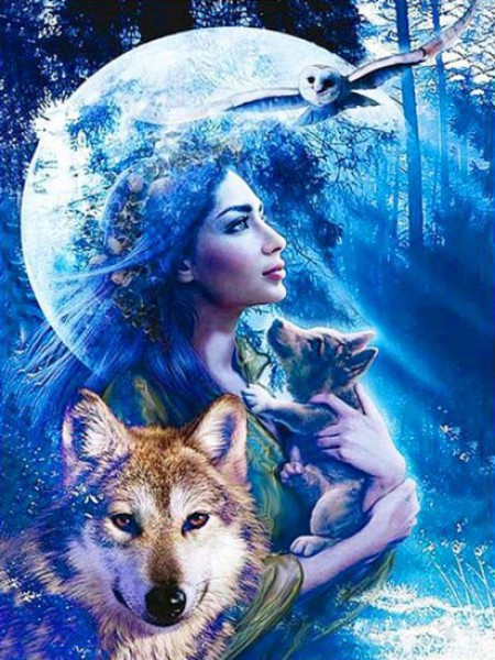 Q-J2.1 S289 Diamond Painting Set Wolf Girl 50x40cm