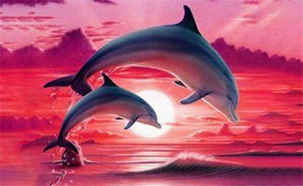 I-B11.1 MR25072 Diamond Painting Set Dolphins 30x20cm