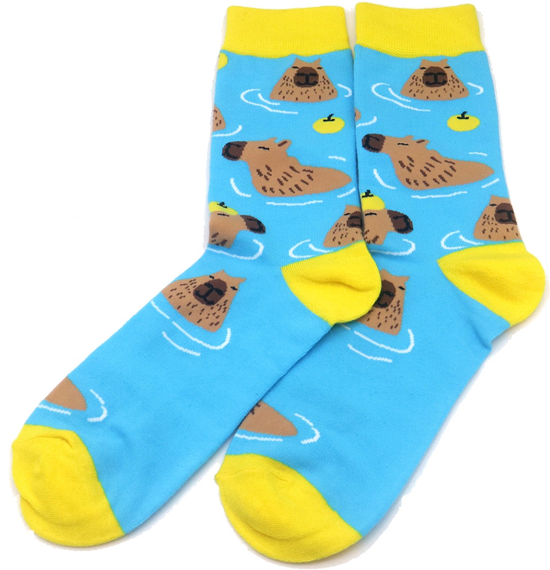 S-I7.3 SOCKS2548-001  Pair of Socks Size 38-45 Capybara