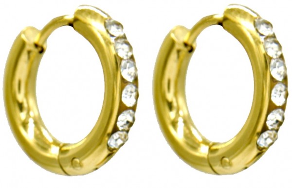 D-A6.5  E090-002G S. Steel Earrings 15mm