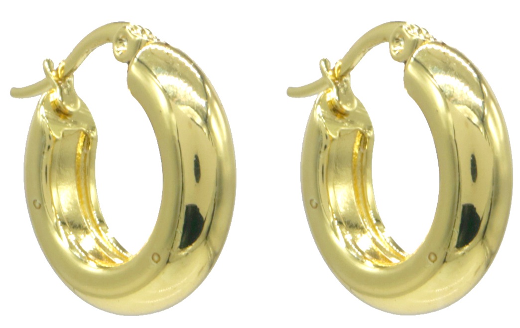 D-E3.1 E2593-202G S. Steel Earrings 20mm