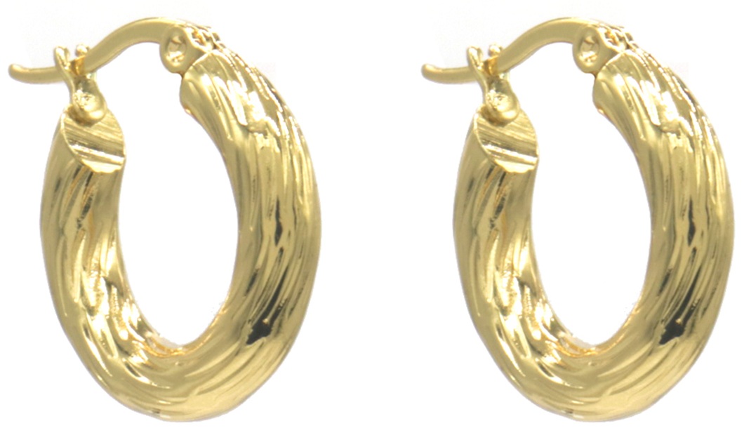 D-A4.3 E2593-243G S. Steel Earrings 20mm
