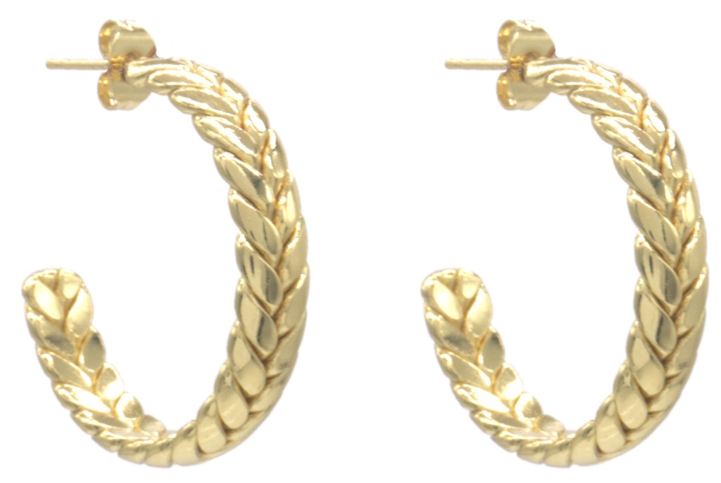 B-B6.3 E2593-224G S. Steel Earrings 30mm