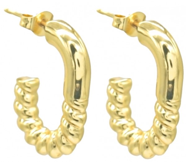 D-B6.4 E68-010G S. Steel Earrings 2.5cm