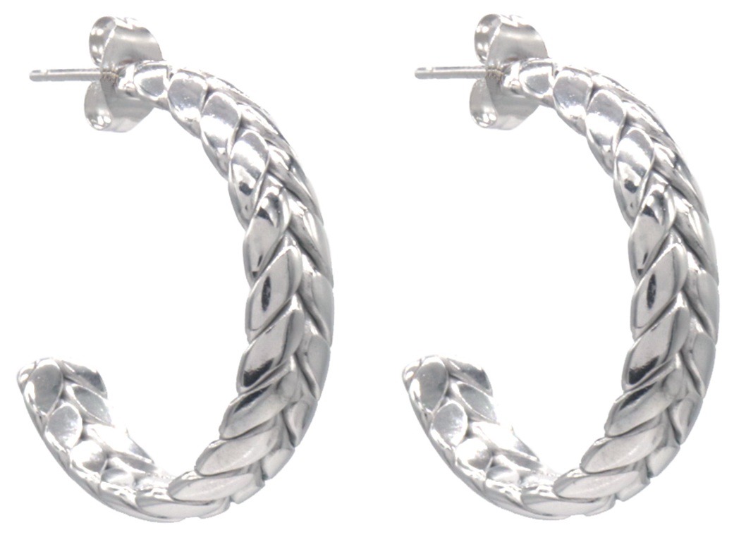 B-E7.3 E2593-224S S. Steel Earrings 25mm