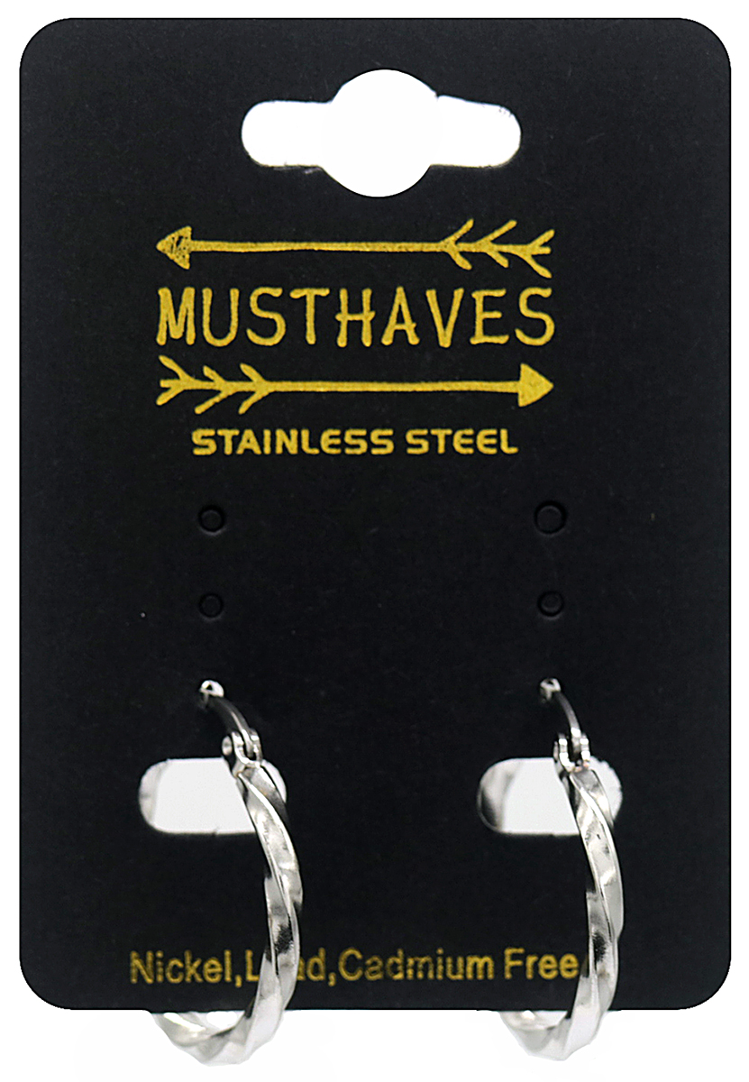 B-E17.1 E015-008S S. Steel Earring Twisted Hoop 2.5cm