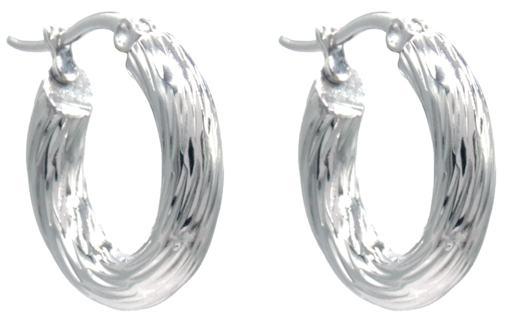 D-D4.3 E2593-243S S. Steel Earrings 20mm