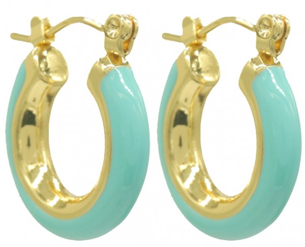 B-F4.2 E68-025G S. Steel Earrings 2cm