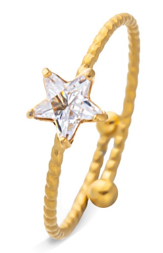 A-D4.5 R2643-040G-20 S. Steel Ring Adjustable Star