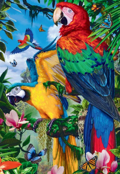R-G5.2 DP2280222  Diamond Painting Parrots 50x40cm - Square 
