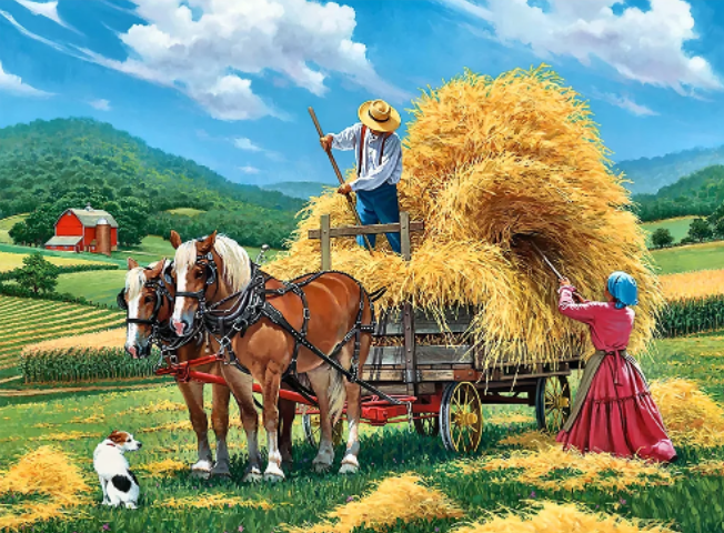T-P3.2 DP2545039  Diamond Painting -Canvas 50x40cm - Painting 45x35cm Farming