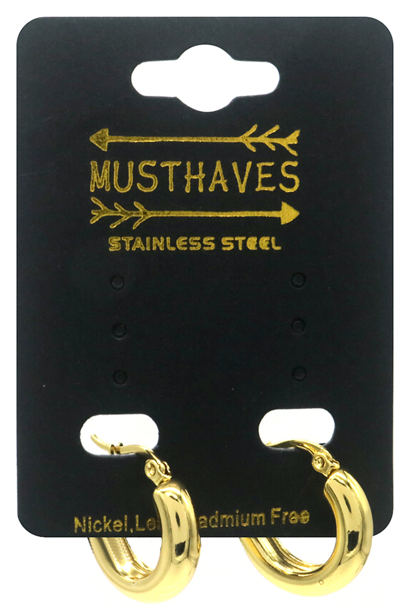 D-E3.1 E2593-202G S. Steel Earrings 20mm