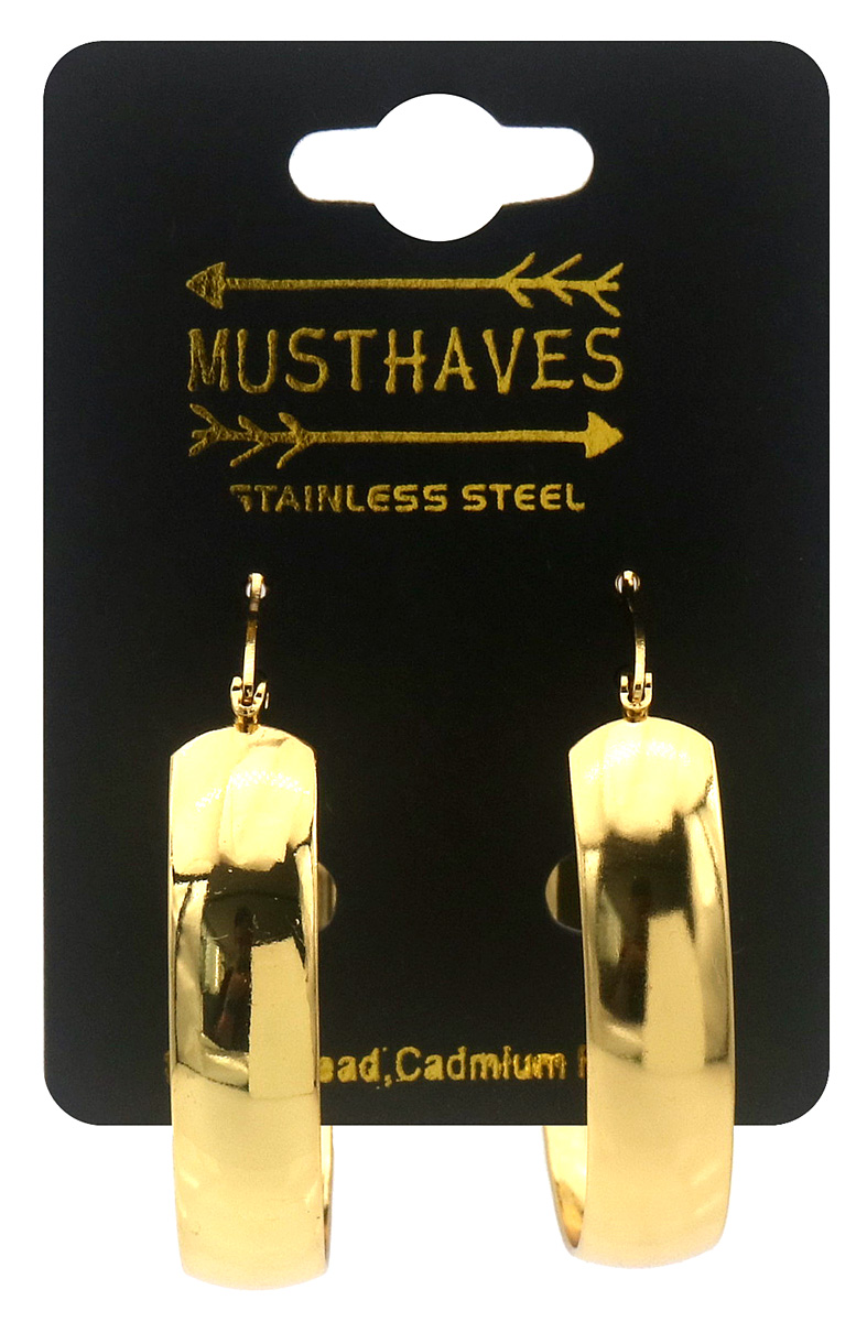 I-E2.2  E2616-006G S. Steel Earrings 40mm
