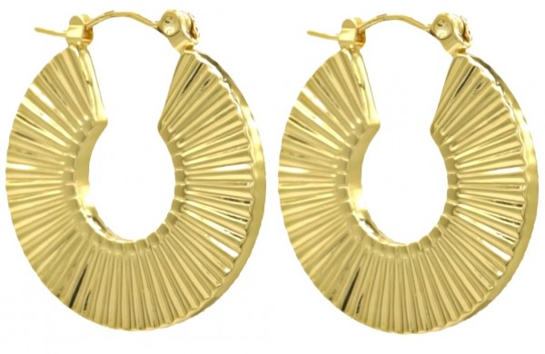 D-F5.4 E68-019G S. Steel Earrings 2.5cm