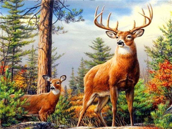 Q-I8.1 GD17208  Diamond Painting Set Deer 40x30cm