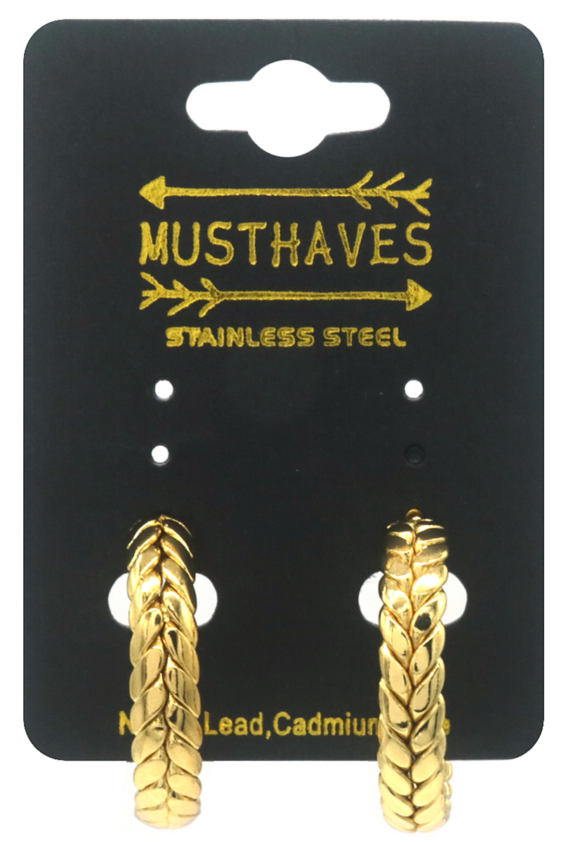 B-B6.3 E2593-224G S. Steel Earrings 30mm