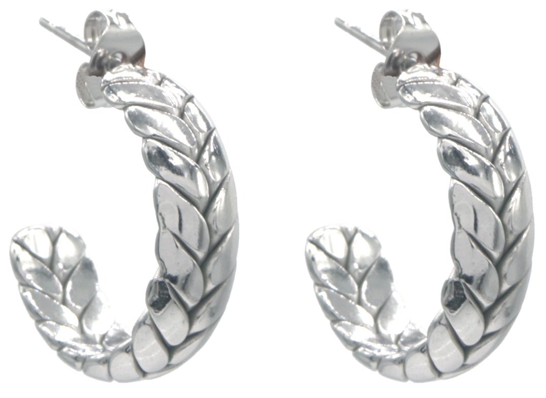 B-C5.5 E2593-224S S. Steel Earrings 20mm
