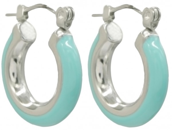 C-D17.2 E68-025S S. Steel Earrings 2cm
