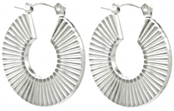 C-B7.3 E68-019S S. Steel Earrings 2.5cm