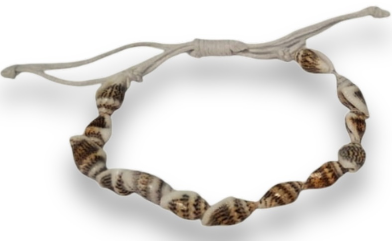 F-B1.1 B938-001-2 Bracelet Shells