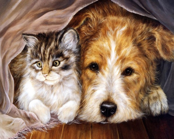 T-I7.2 Xl4008  Diamond Painting Set Dog-Cat 40x30cm
