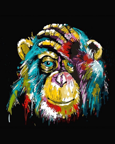 T-C6.2 DP2280208  Diamond Painting Monkey  50x40cm - Square 