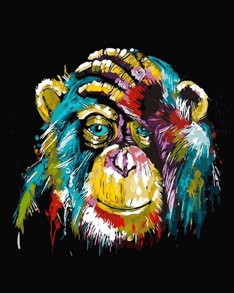 T-C6.2 DP2280208  Diamond Painting Monkey  50x40cm - Square Stones