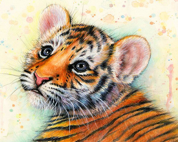 T-C3.2 S-C3.3  Diamond Painting Set Tiger 30x20cm