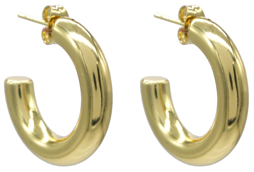 D-C2.1 E2593-259G S. Steel Earrings 2.5cm