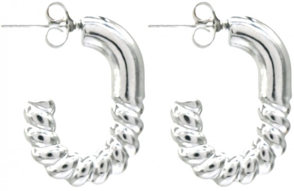 B-F4.1 E68-010S S. Steel Earrings 2.5cm
