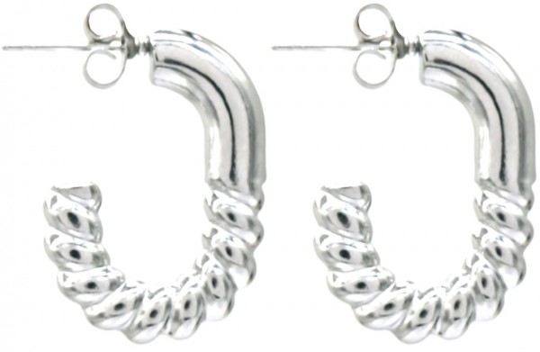 B-F4.1 E68-010S S. Steel Earrings 2.5cm