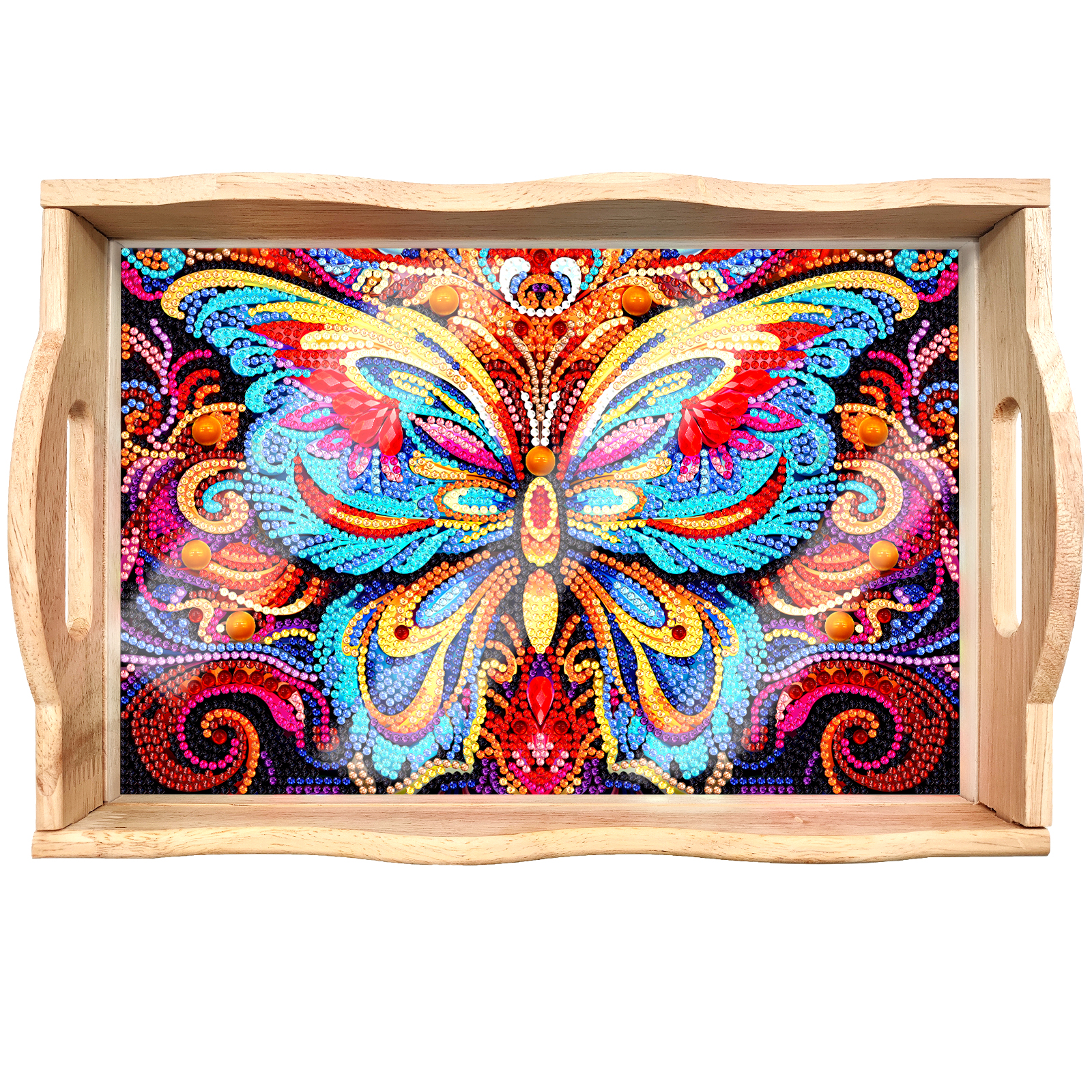 T-G2.2 CANP01 DIY Diamond Painting Tray 30x19cm 